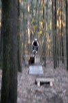 Bicis15_2.JPG