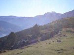 DSC00616_redimensionar.JPG