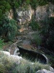 DSCN0951.jpg