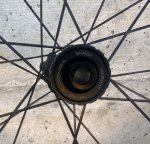 IMG_8653.jpeg
