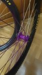 IMG-20241119-WA0021.jpeg