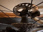 IMG_6442.jpeg