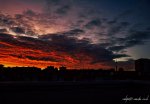 _DSC2817.jpg