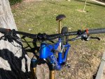 IMG_2593.jpeg