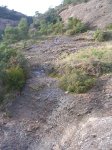 DSCN8329.JPG