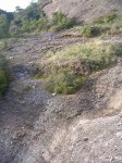 DSCN8330.JPG