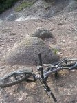 DSCN8335.JPG