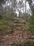 DSCN8348.JPG