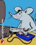mouse[1].jpg