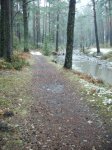 IMG_0141.JPG