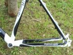 Cuadro Xclusive A-011.JPG