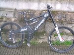 orange_2008_039.jpg