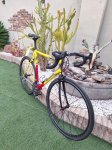 scapin02.jpg