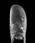 IMG_2453.jpeg
