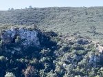 IMG_1501.jpg