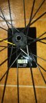 20250316_050413.jpg