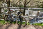 IMG_3174.jpeg
