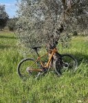 thumbnail_IMG_5167.jpg