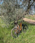 thumbnail_IMG_5164.jpg