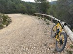IMG_4359.jpeg
