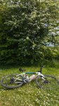 2025-04-11 PRIMAGRAVEL (2).jpeg