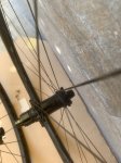 IMG_6687.jpeg