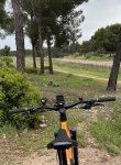 thumbnail_IMG_5883.jpg