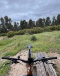 thumbnail_IMG_5882.jpg