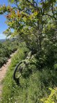 thumbnail_IMG_6222.jpg
