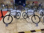 IMG_4374.jpeg