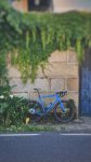 IMG_6642.jpeg
