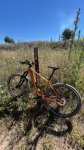 thumbnail_IMG_6559.jpg