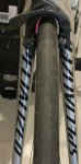 IMG_2156.jpeg