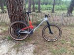 IMG_1701.jpeg