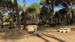 thumbnail_IMG_7747.jpg