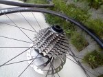 20240908_201326.jpg