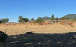 thumbnail_IMG_8194.jpg