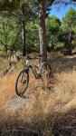 thumbnail_IMG_8202.jpg