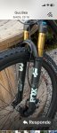 IMG_2637.jpeg