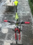 IMG_5428.JPG