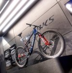 IMG_7909.jpeg