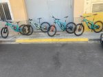 IMG_8636.jpeg