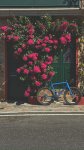 IMG_7787.jpeg