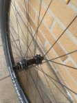 IMG_7958.jpeg