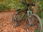 bici2.jpg
