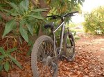bici.jpg