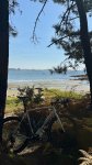 IMG_7953.jpeg
