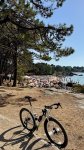IMG_8037.jpeg