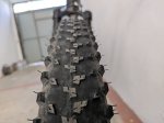 PXL_20250811_092204009.MP.jpg