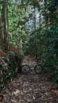 IMG_8167.jpeg